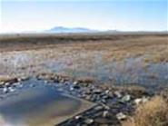 The Town of Chino Valley aquifer recharge site